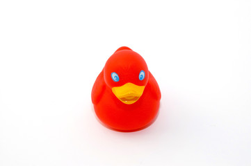 red valentine bath duck