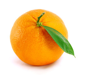 orange 6