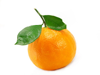 orange 5