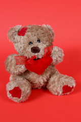 teddy bear on red background