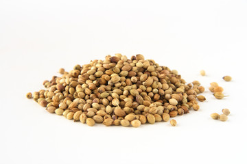 whole white dhania coriander