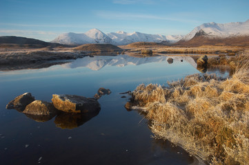 peak reflections