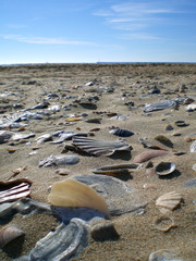 playa