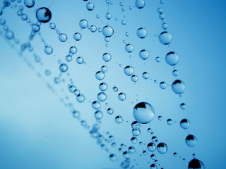 eau sur la toile d'araignée