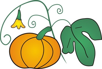 pumpkin
