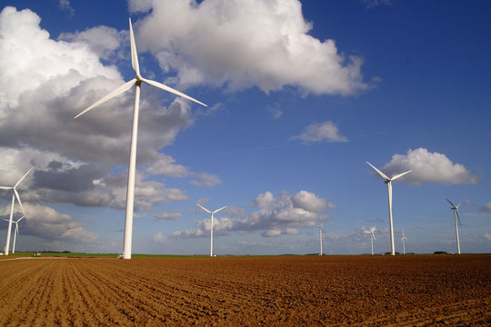 champ d'&eacute;oliennes 1