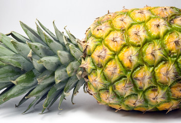 pineapple