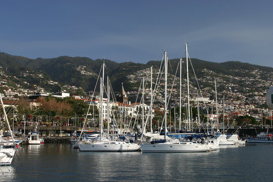 madeira, funchal, harbor