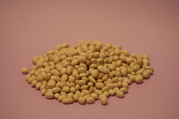 img_0320haricotssecs