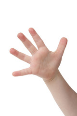 five fingers