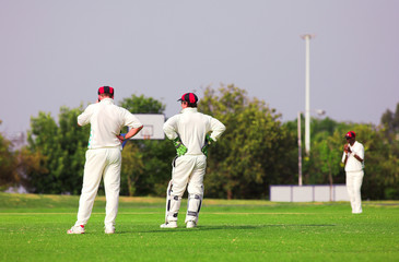 cricket players standing around waiting on the fie