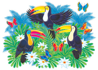 toucans