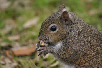 up close and personal