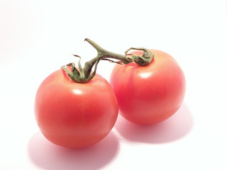 tomates