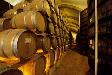 cantina con botti e barrique