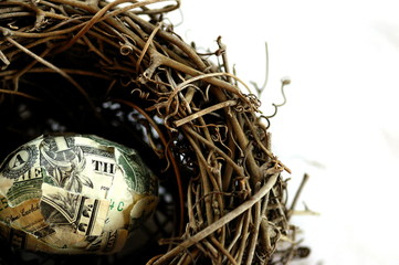 your nest egg