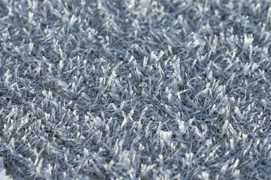 herbe gel&eacute;e
