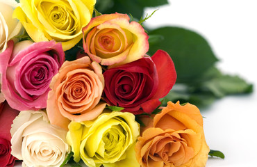 Fototapeta premium bouquet of brightly colored roses