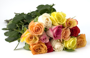 bouquet of beautiful roses