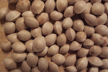 samen ginkgo biloba heilmittel