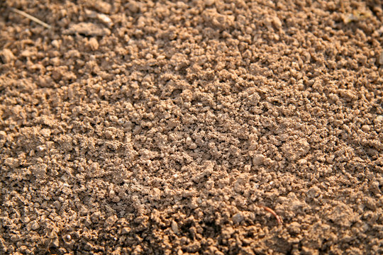 texture terra