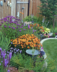 perennial border