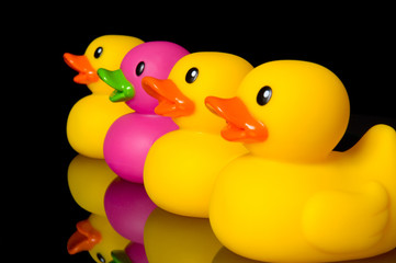 dare to be different - rubber ducks on black