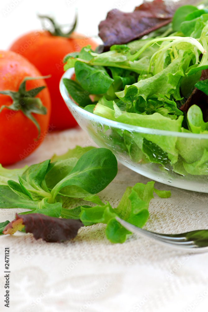 Poster baby greens and tomatoes