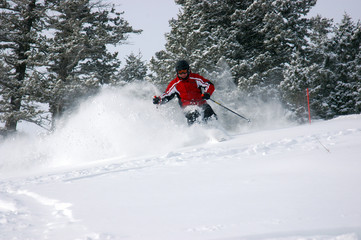 powder skiing