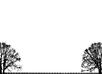 plain trees