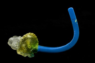 kameleon © Michał Piotrowski