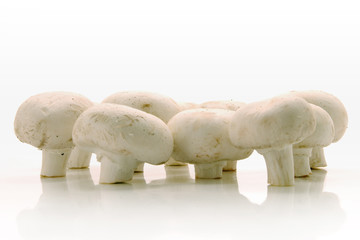 white mushrooms