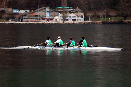 aviron sport fitness