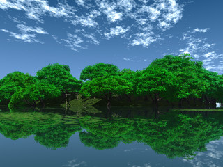 Fototapeta premium green_pond