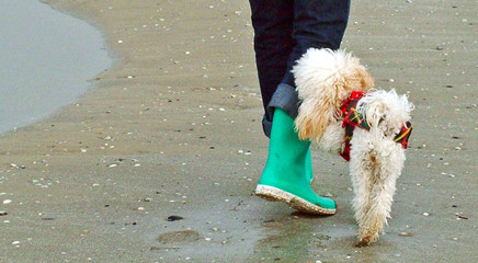 passeggiata © Silvia Ottaviano