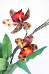 artificial orchid