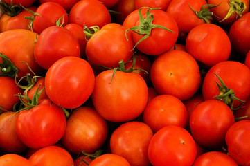 tomatoes