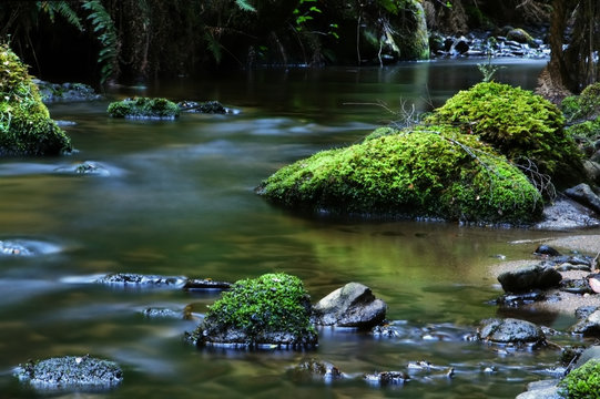 tranquil river