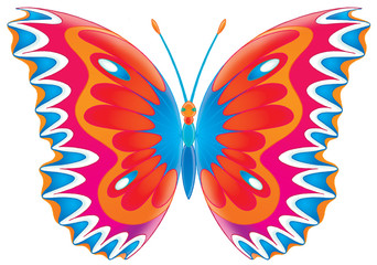 butterfly