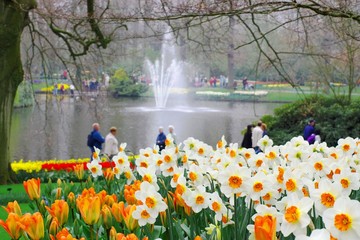 dutch garden in spring © Andrei Kazarov