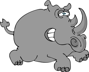 gray rhino