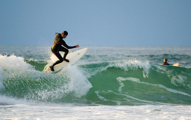 pacific surfer - obrazy, fototapety, plakaty