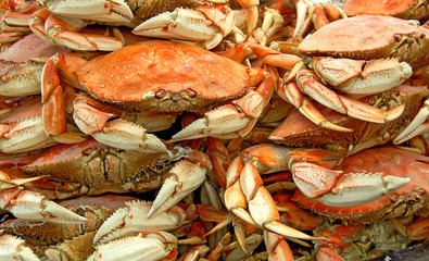 crabs on sale
