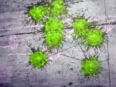 paint splash