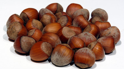 hazelnuts on white