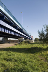 rheinbrücke über wiese