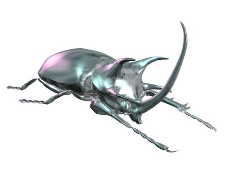 coléoptère scarabée argent