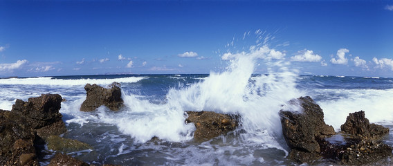 seeküste mit der welle