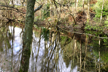 reflections 1