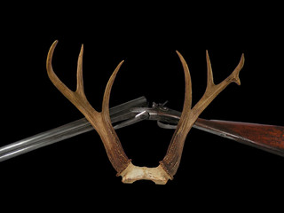 antlers and shotgun